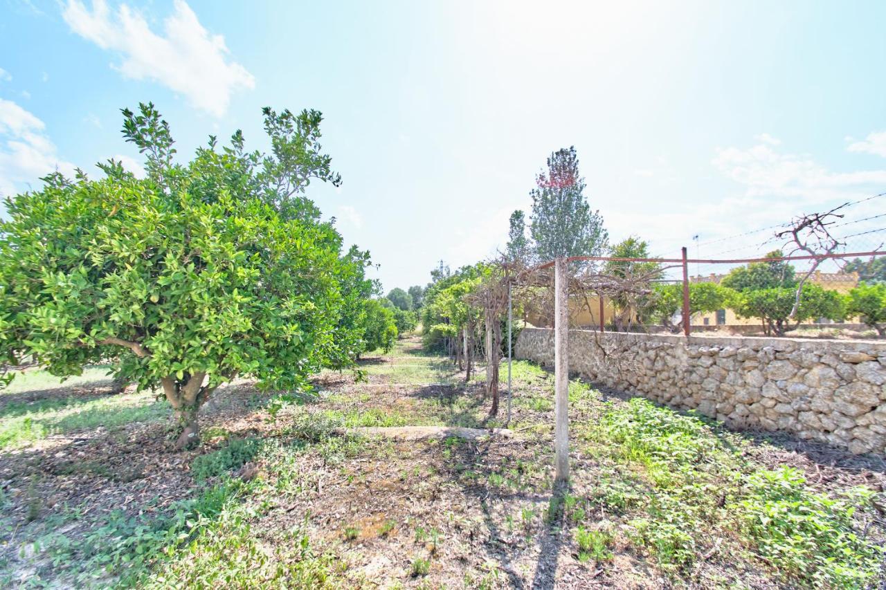 Villa Son Bennassar Inca  Esterno foto